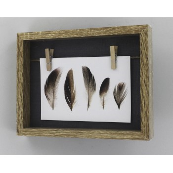 Hama portrétová galéria CAVO